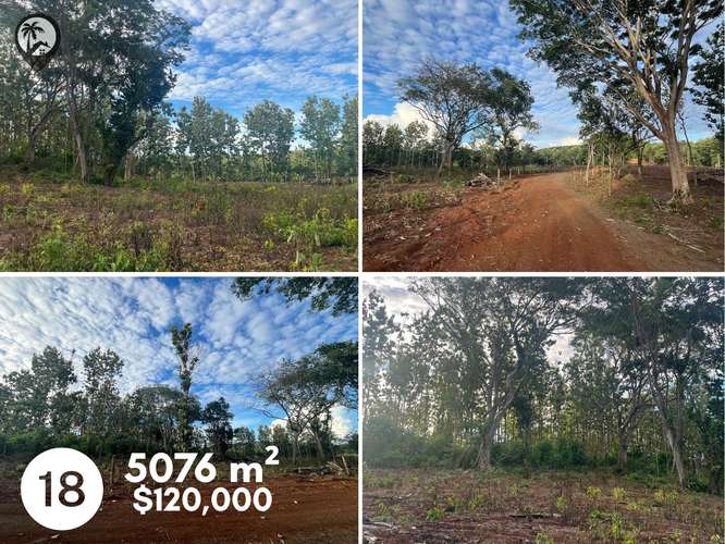 Parcelas agrícolas en venta a 5 minutos de Playa Venado - Imagen 15