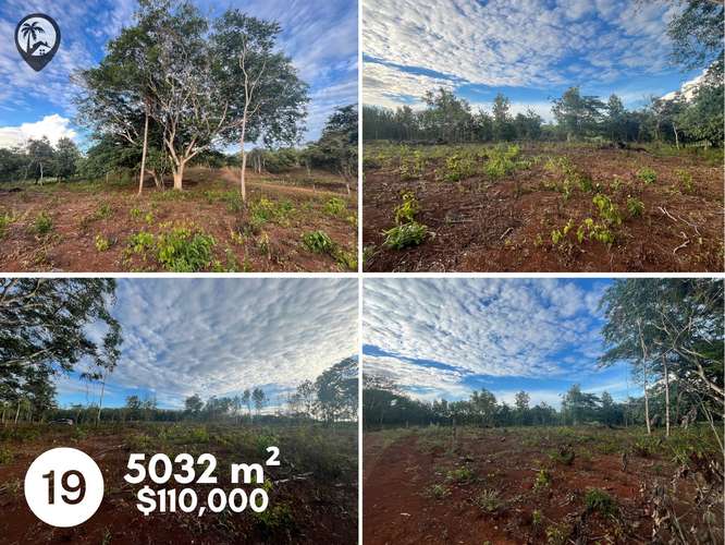 Parcelas agrícolas en venta a 5 minutos de Playa Venado - Imagen 16