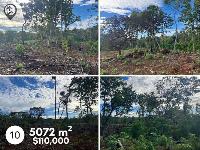 Parcelas agrícolas en venta a 5 minutos de Playa Venado - Imagen 8