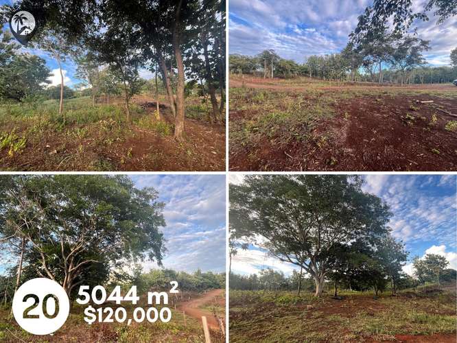 Parcelas agrícolas en venta a 5 minutos de Playa Venado - Imagen 17