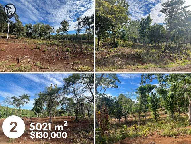 Parcelas agrícolas en venta a 5 minutos de Playa Venado - Imagen 5