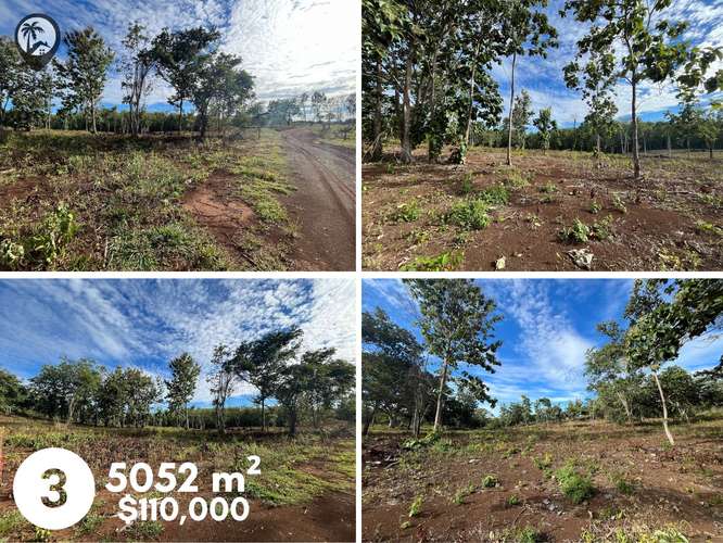 Parcelas agrícolas en venta a 5 minutos de Playa Venado - Imagen 6