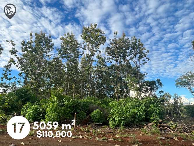 Parcelas agrícolas en venta a 5 minutos de Playa Venado - Imagen 14