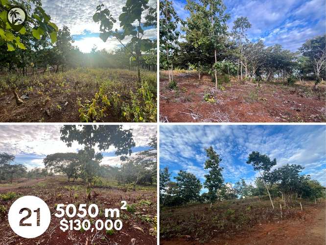 Parcelas agrícolas en venta a 5 minutos de Playa Venado - Imagen 18