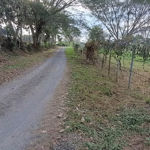 Venta de terreno con uso de suelo comecial residencial  - Imagen 2