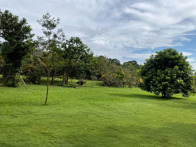 Terreno en Cubujuquí de Horquetas de Sarapiquí, Heredia - Imagen 2