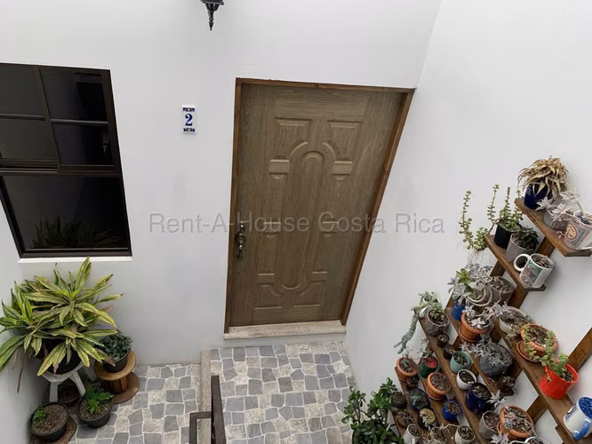 Alquiler de Acogedor Apartamento en Tibás. - Imagen 9
