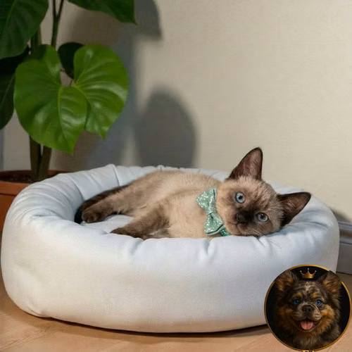 Gatito SIAMES disponible - Imagen 10