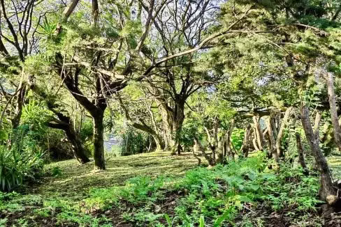 Propiedad para Desarrollo Vertical en San Rafael de Escazú - Imagen 11