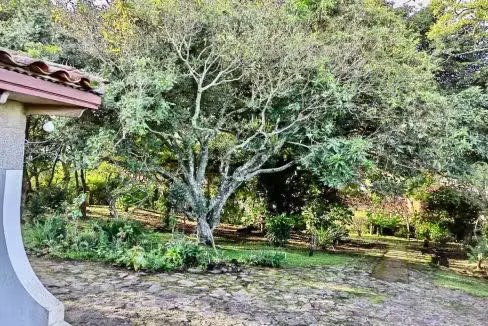 Propiedad para Desarrollo Vertical en San Rafael de Escazú - Imagen 6