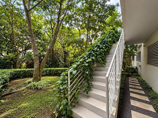 Distrito 4 Escazú | 140 m² | Jardín privado | Vista al bosque