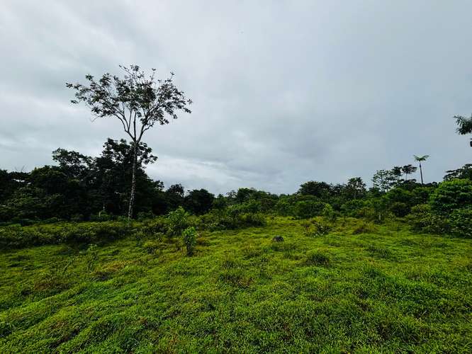 Espectacular Finca Guápiles con ríos tipología regular 55000m2 - Imagen 6