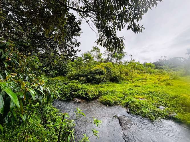 Espectacular Finca Guápiles con ríos tipología regular 55000m2 - Imagen 12