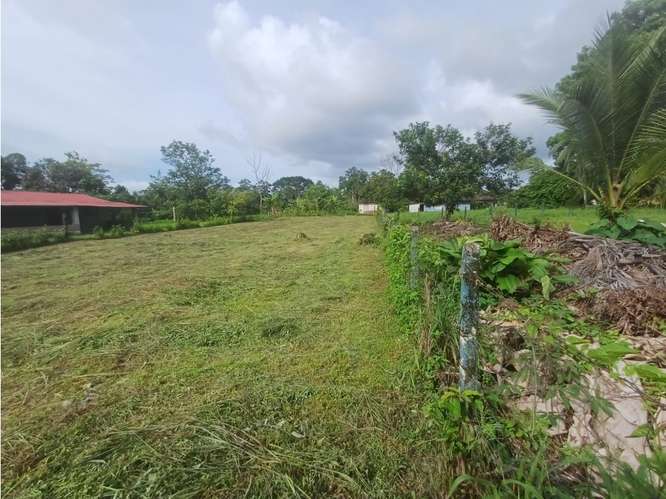 VENTA DE LOTE USO DE SUELO MIXTO, HEREDIA, SARAPIQUI, HORQUETAS - Imagen 2