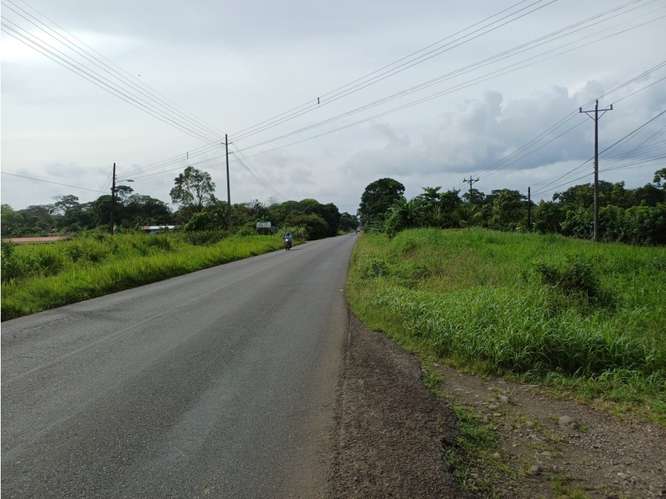 VENTA DE LOTE USO DE SUELO MIXTO, HEREDIA, SARAPIQUI, HORQUETAS - Imagen 4