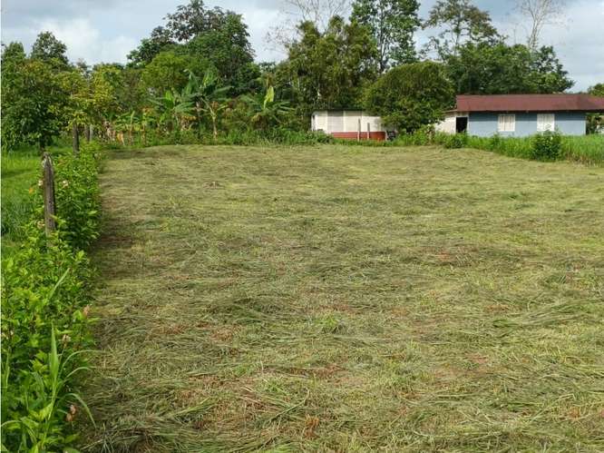 VENTA DE LOTE USO DE SUELO MIXTO, HEREDIA, SARAPIQUI, HORQUETAS - Imagen 1