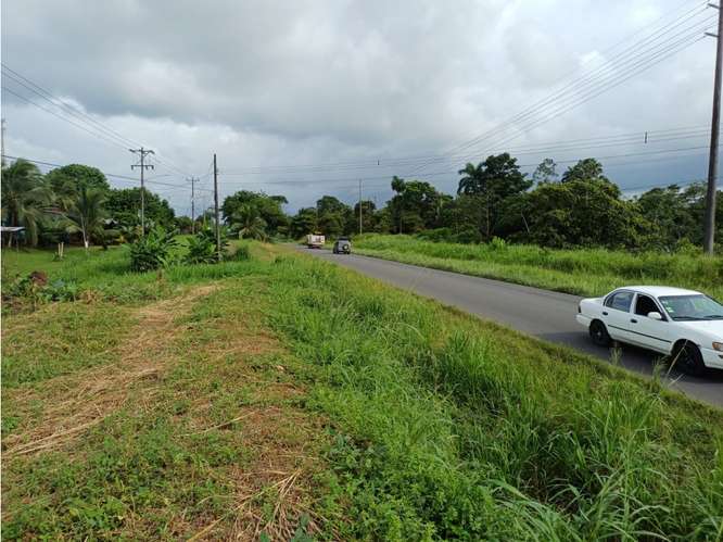 VENTA DE LOTE USO DE SUELO MIXTO, HEREDIA, SARAPIQUI, HORQUETAS - Imagen 3