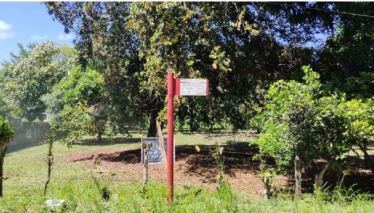 Lote para su proyecto - Imagen 4