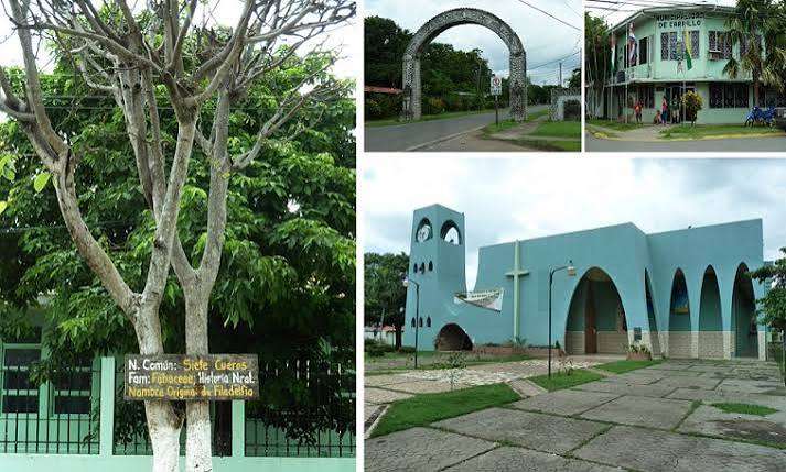 Lote para su proyecto - Imagen 7