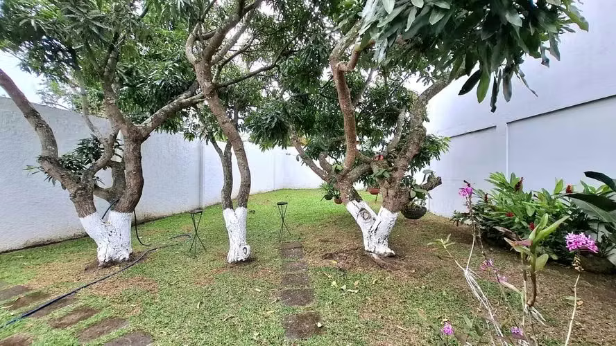 Venta de casa en Zapote, San José 18262 - Imagen 12