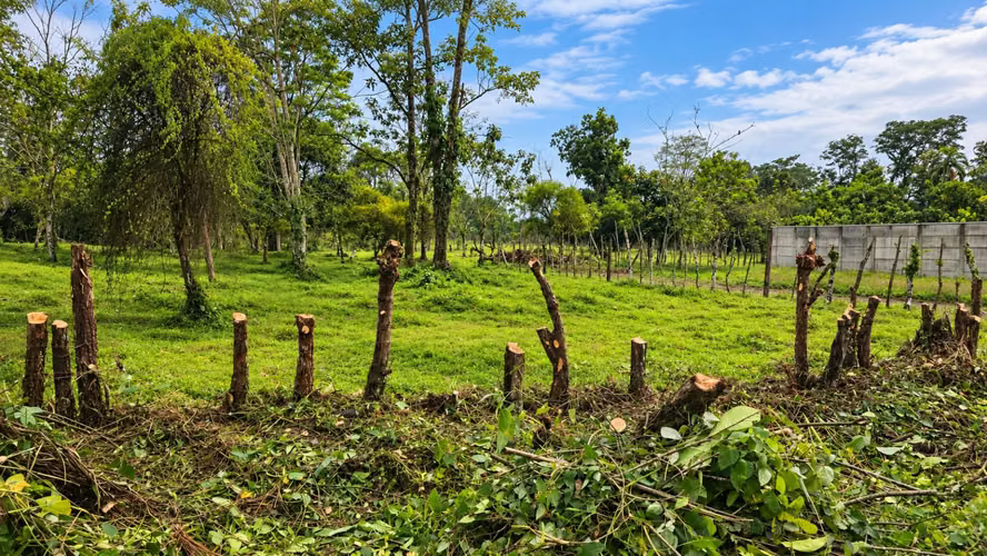 Lotes de 228 m² en venta Horquetas de Sarapiquí 6.300.000 - Imagen 2