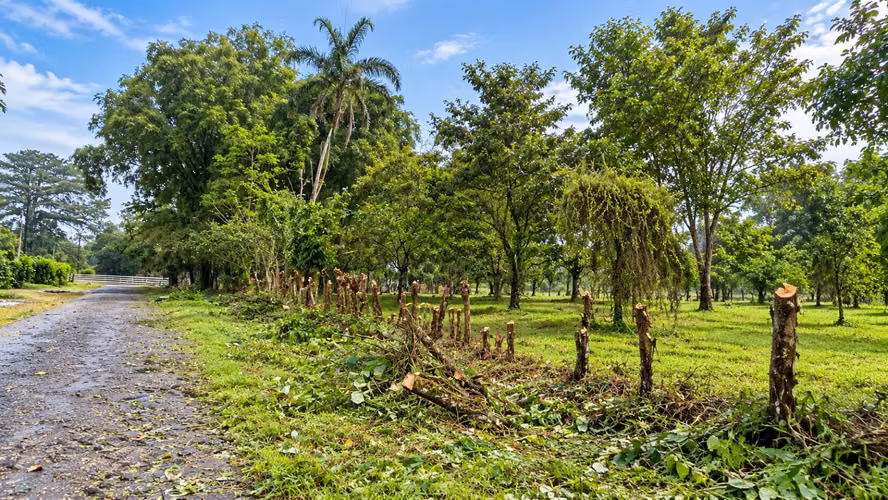 Lotes de 228 m² en venta Horquetas de Sarapiquí 6.300.000 - Imagen 3