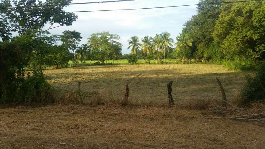 Terreno 3,925 m² sobre Ruta 21 – Chalaco, Carrillo, Guanacaste. - Imagen 8