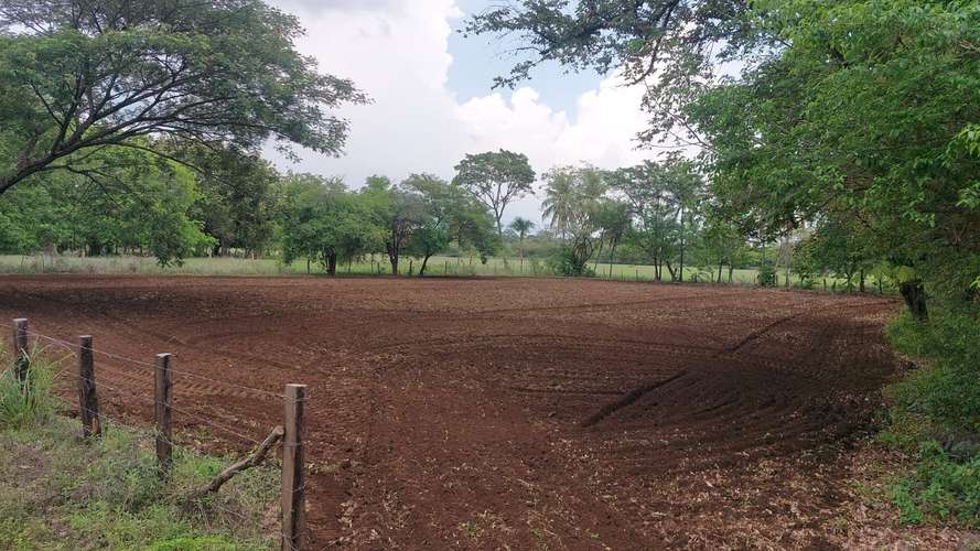 Terreno 3,925 m² sobre Ruta 21 – Chalaco, Carrillo, Guanacaste. - Imagen 5