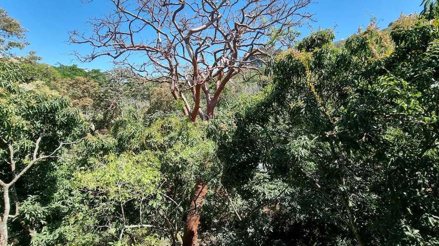 Apartamento de 2 habitaciones en último piso con vista al bosque, Condominio RiOro, Santa Ana