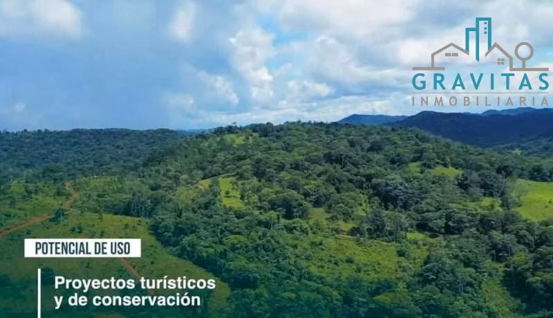 Venta de finca ganadera en San Carlos Pital | 1500 Ha | F 733 - Imagen 11