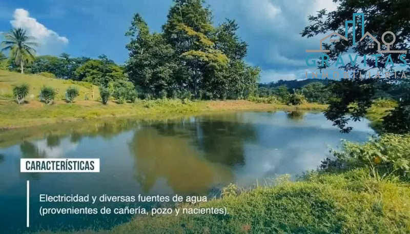 Venta de finca ganadera en San Carlos Pital | 1500 Ha | F 733 - Imagen 1