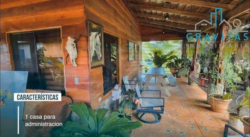 Venta de finca ganadera en San Carlos Pital | 1500 Ha | F 733 - Imagen 3