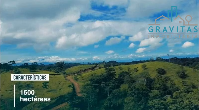 Venta de finca ganadera en San Carlos Pital | 1500 Ha | F 733 - Imagen 15