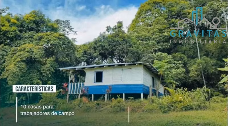 Venta de finca ganadera en San Carlos Pital | 1500 Ha | F 733 - Imagen 5