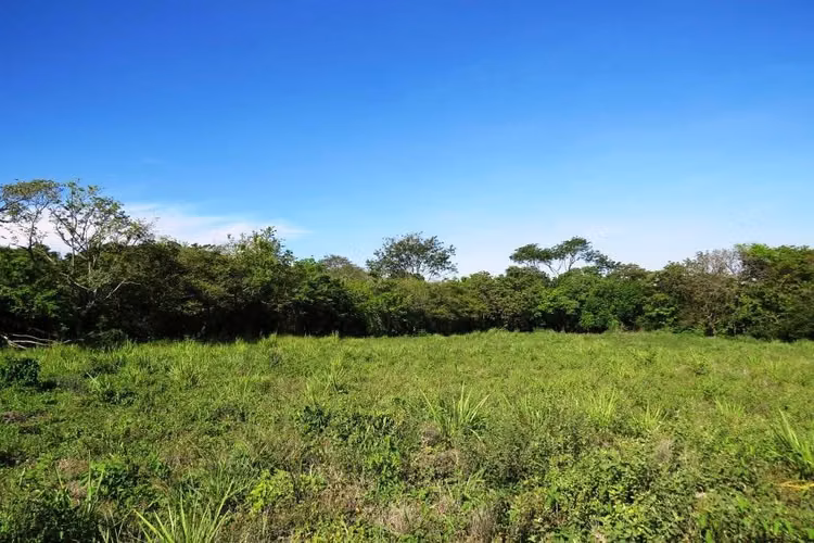 VENTA DE LOTES A $30 EL M2 EN TURRÚCARES DE ALAJUELA  - Imagen 11