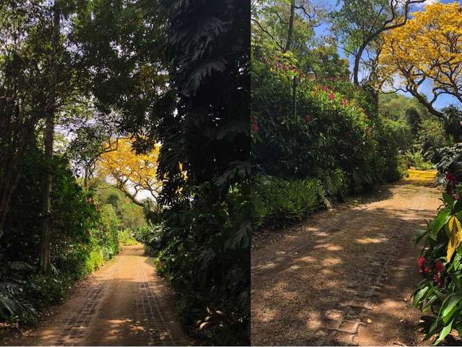 Venta de finca de 3.4 ha en Ciudad Colón, San José, 4495 - Imagen 6