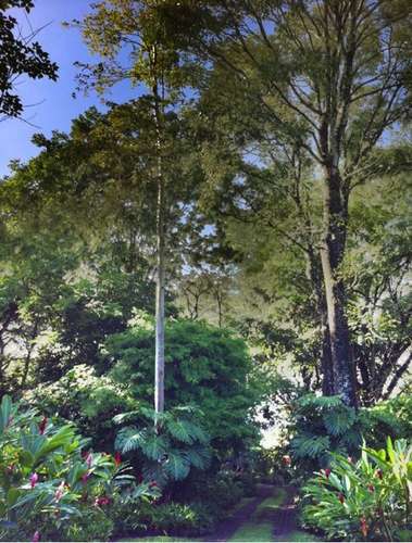 Venta de finca de 3.4 ha en Ciudad Colón, San José, 4495 - Imagen 7