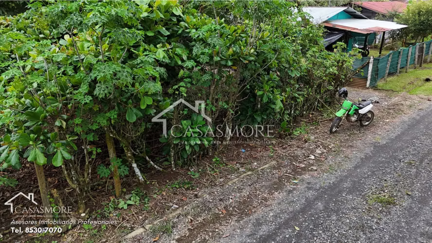 VENTA LOTE CARIARI, POCOCI, 300 M2 PLANO, CON ACCESO A SERVICIOS PUBLICOS, SE ESCUCHAN OFERTAS
