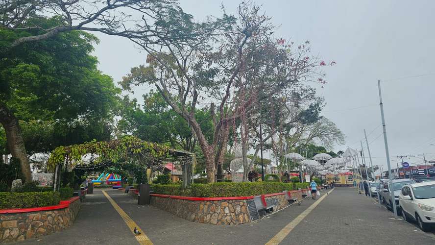 Venta de propiedad en el centro de San Ramón, Alajuela - Imagen 19