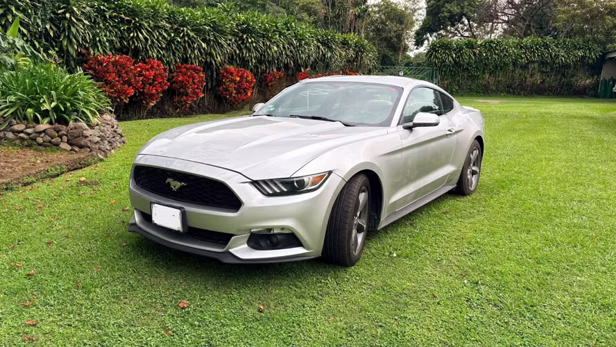 Se Vende Mustang  - Imagen 10