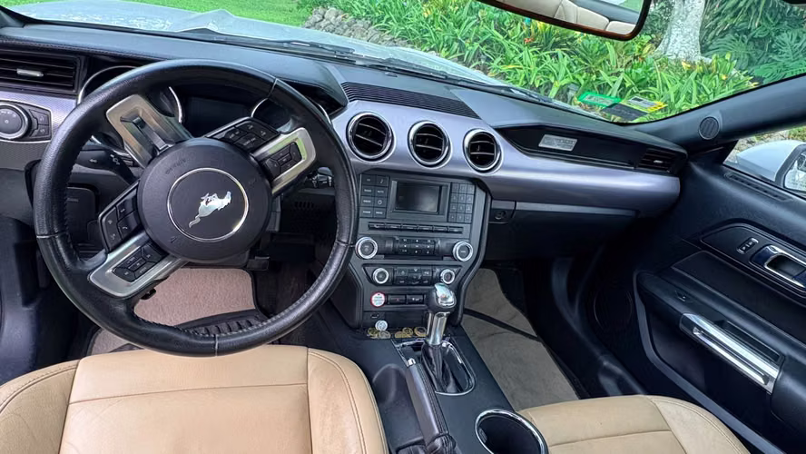 Se Vende Mustang  - Imagen 12
