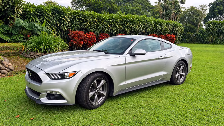 Sell Mustang