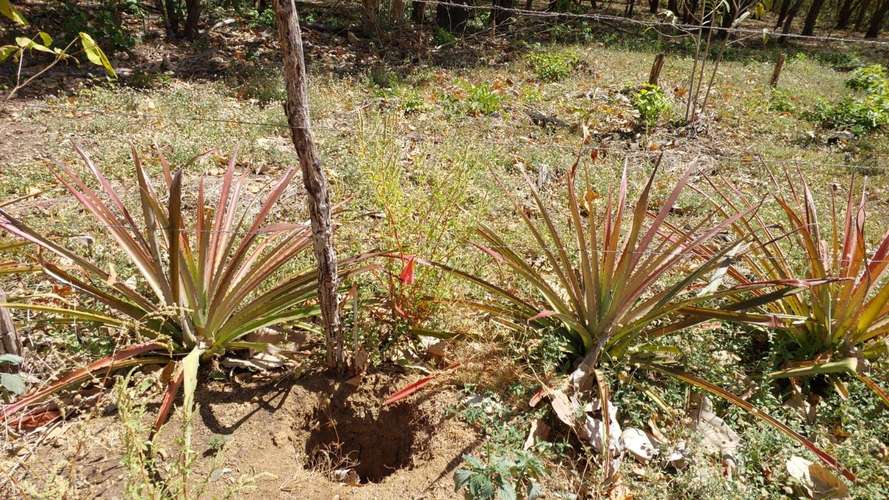Venta de lote plano en Playa Potrero, Guanacaste, 5385