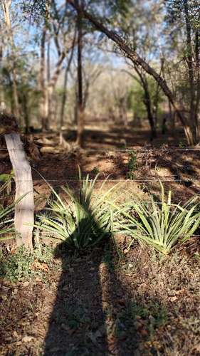 Venta de lote plano en Playa Potrero, Guanacaste, 5385