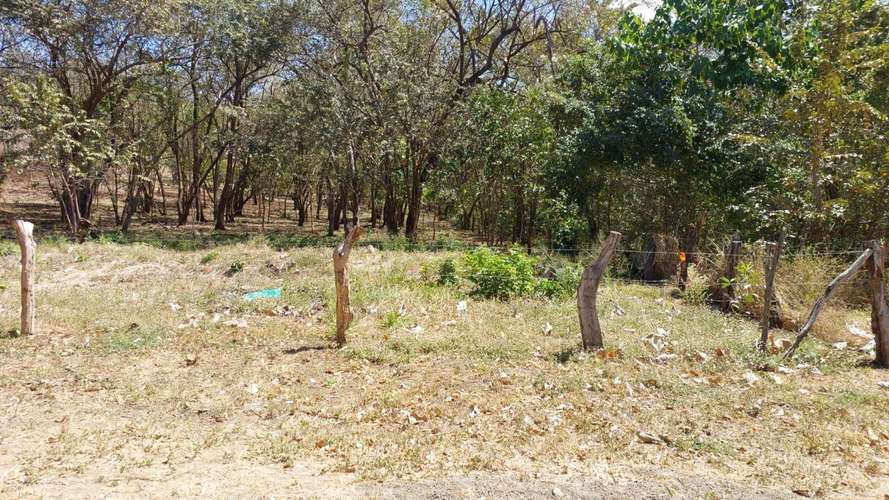 Venta de lote plano en Playa Potrero, Guanacaste, 5385