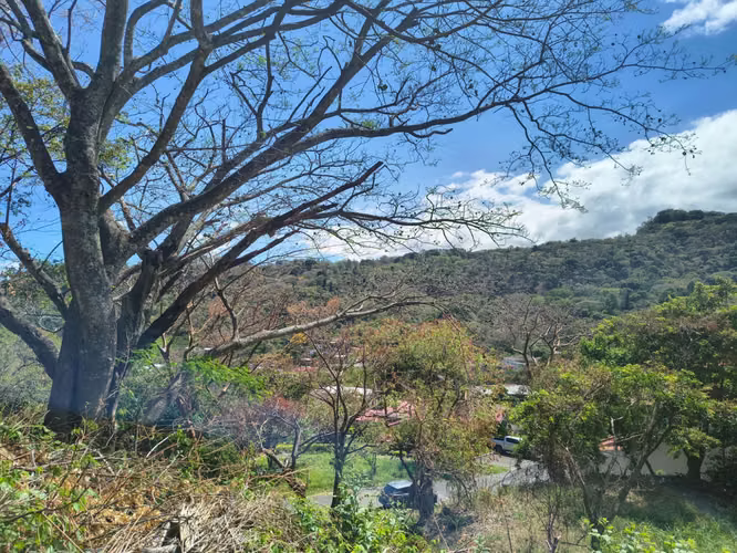 Lote de 740 m² en venta en Río Oro de Santa Ana - Imagen 7