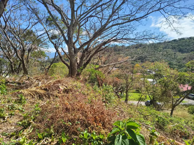 Lote de 740 m² en venta en Río Oro de Santa Ana - Imagen 4
