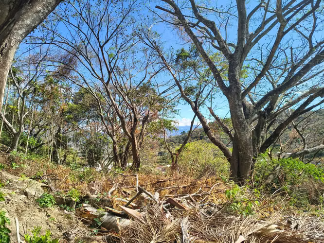 Lote de 740 m² en venta en Río Oro de Santa Ana - Imagen 6