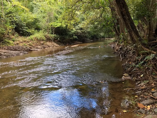 Finca de veraneo en Diriá, Santa Cruz