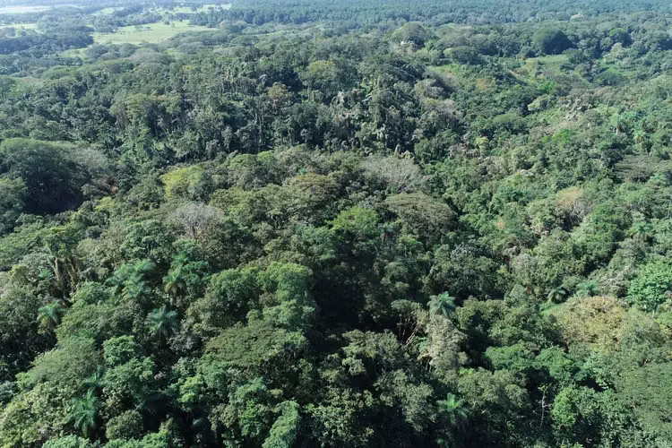 Exclusivo Terreno en Tarcoles: Vistas Panorámicas y Atardeceres Impresionantes - Imagen 3